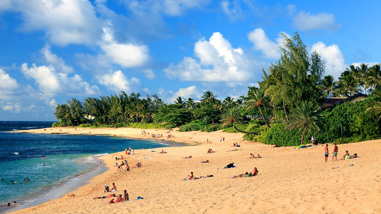 playa con personas y naturaleza